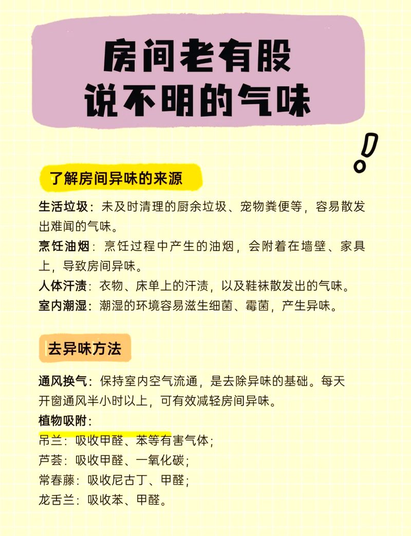 如何减少装修后的异味相关配图_装修异味处理